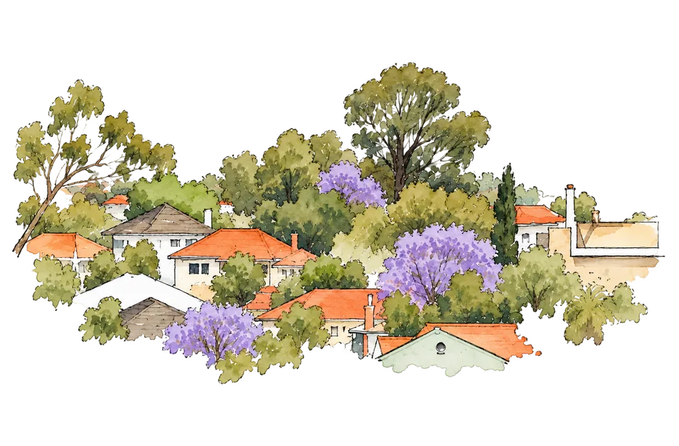 Watercolour illustration of a Perth street with jacaranda trees in bloom among the rooftops